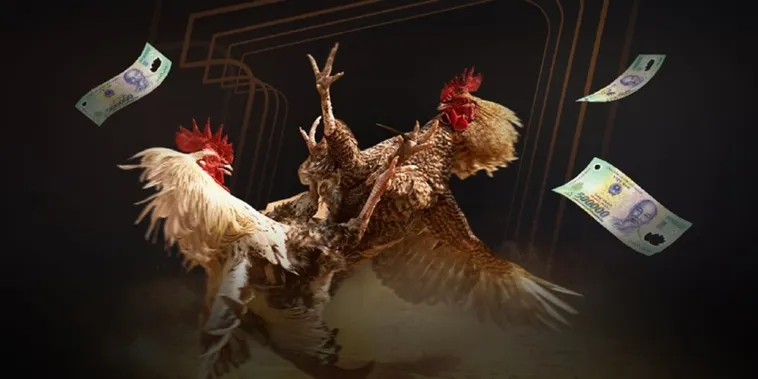 Tham Gia Cá Cược Đá Gà BJ88 Nhận Ngay Thưởng Lớn Hấp Dẫn Mỗi Ngày